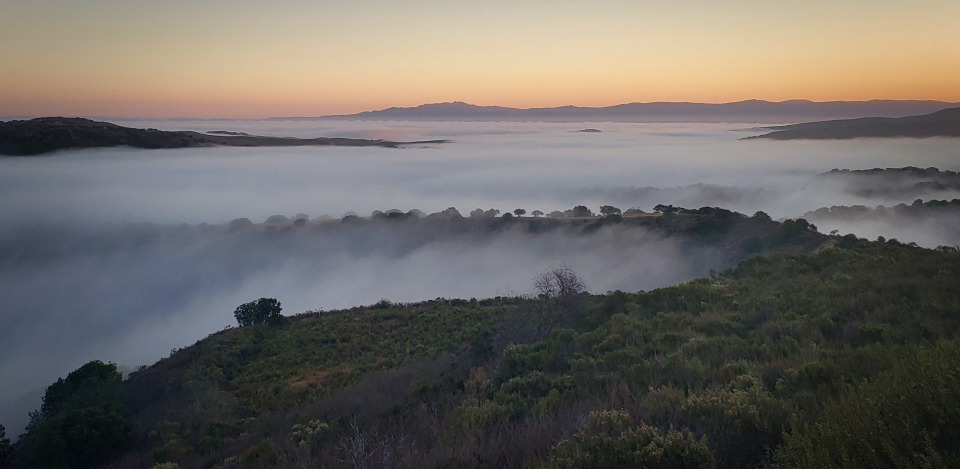 Monterey hills landscape